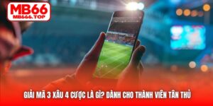 Giải Mã 3 Xâu 4 Cược Là Gì? Dành Cho Thành Viên Tân Thủ