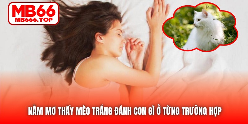 Nằm mơ thấy mèo trắng đánh con gì ở từng trường hợp