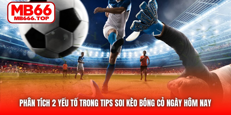 Phân tích 2 yếu tố quan trọng trong tips soi kèo bóng cỏ ngày hôm nay