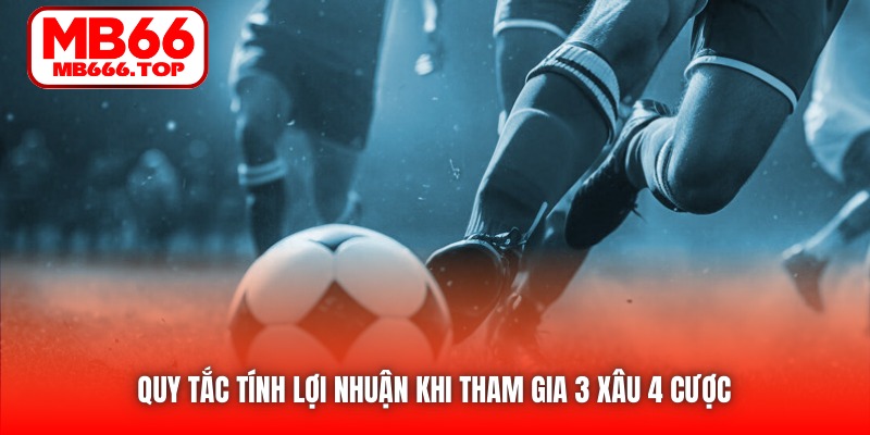 Quy tắc tính lợi nhuận khi tham gia 3 xâu 4 cược 