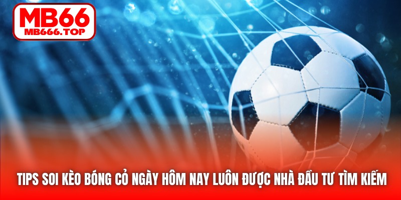 Tips soi kèo bóng cỏ ngày hôm nay luôn được nhà đầu tư tìm kiếm