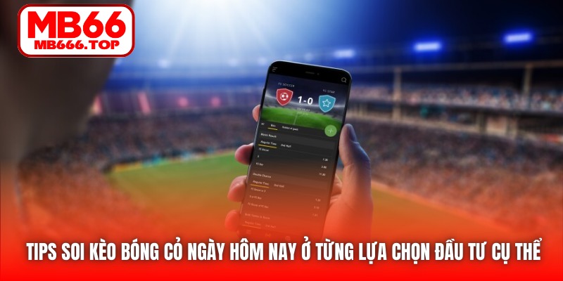 Tips soi kèo bóng cỏ ngày hôm nay ở từng lựa chọn đầu tư cụ thể