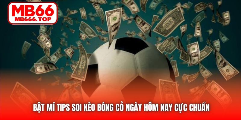 Bật Mí Tips Soi Kèo Bóng Cỏ Ngày Hôm Nay Cực Chuẩn