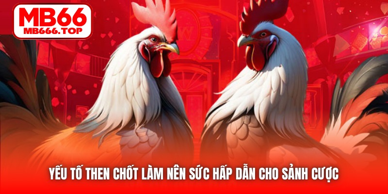 Yếu tố then chốt làm nên sức hấp dẫn cho sảnh cược